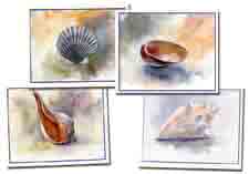 shell cards